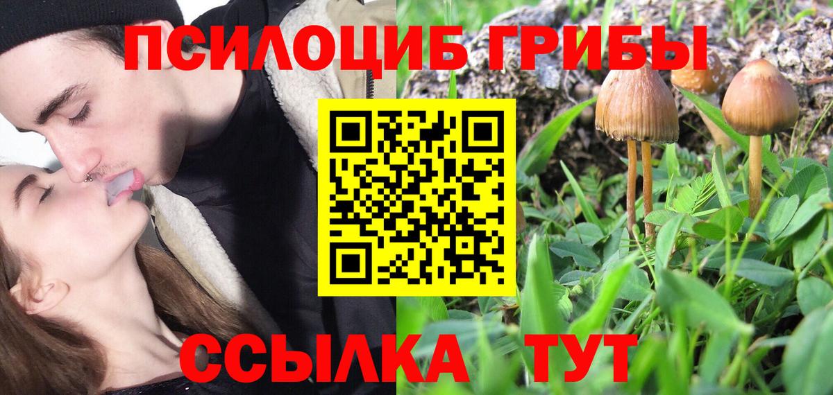 Галлюциногенные грибы Cubensis Отрадный