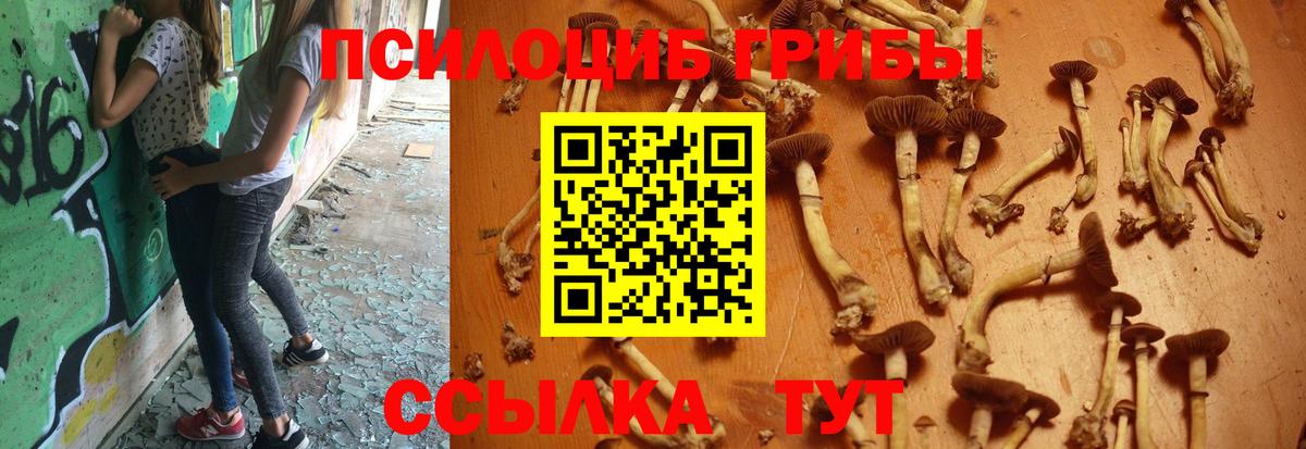 Галлюциногенные грибы мухоморы  Псилоцибиновые грибы мухоморы  Вход с VPN  закладки  Отрадный 
